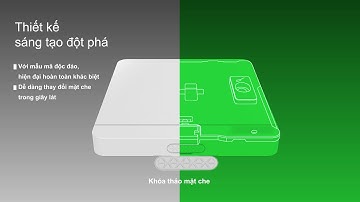 AvatarOn Schneider Công Tắc Ổ  Cắm Cao Cấp