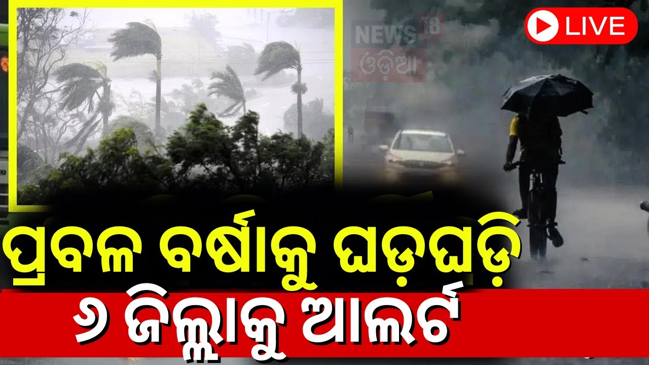 Weather News Live:  ଆସୁଛି ବର୍ଷା, ୬ଜିଲ୍ଲାକୁ ଆଲର୍ଟ | Rain Alert | Rain News | IMD