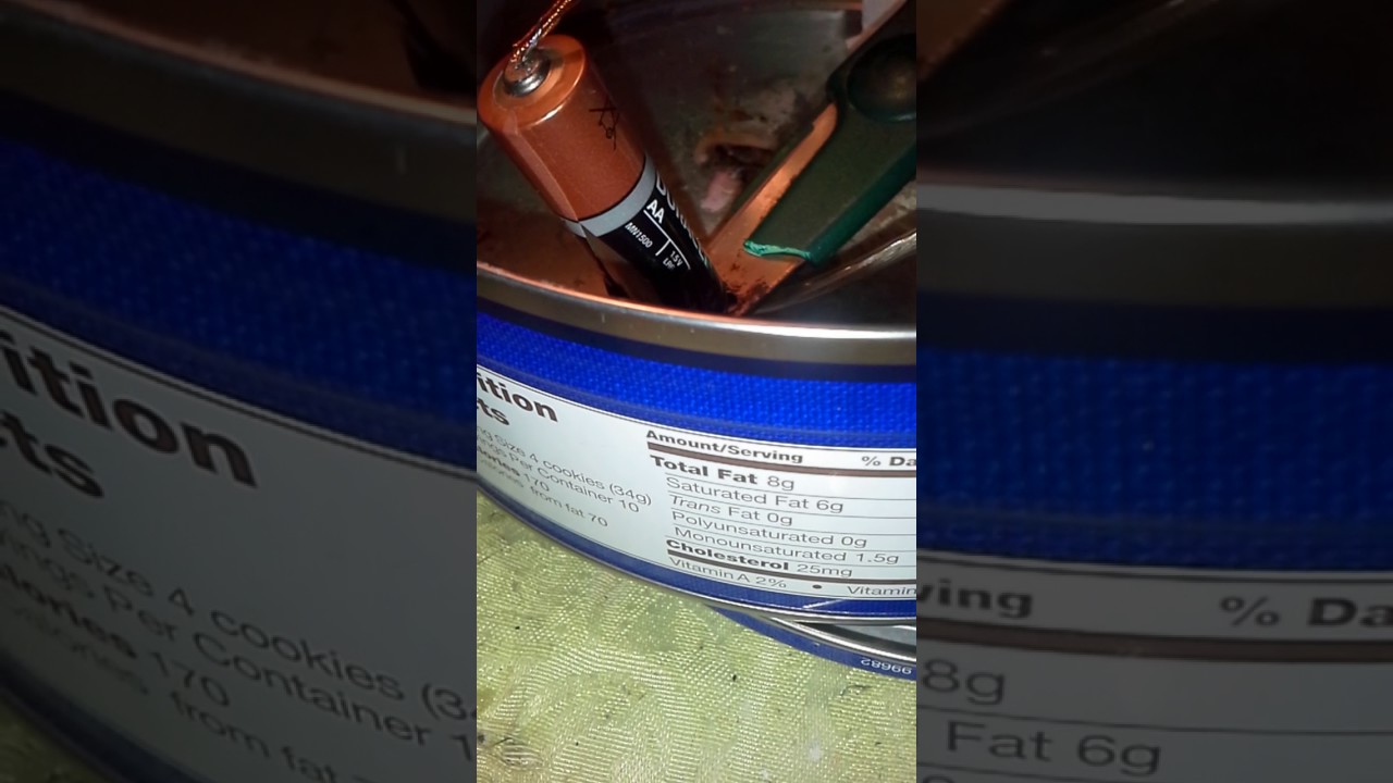 Charging An Alkaline Battery