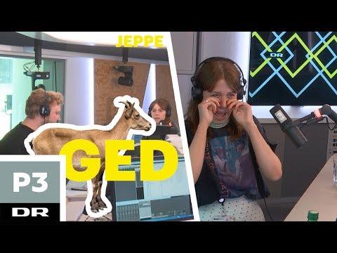 Gaveønsker til din