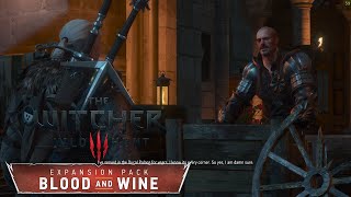 The Witcher 3 Wild Hunt - Part 191 - We must find him!