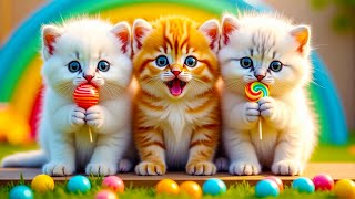 Download Lagu ANAK KUCING MEONG MEONG - SI MEONG KUCING LUCU ❤️ Lagu Anak Indonesia Viral Terbaru MP3 Download Lagu ANAK KUCING MEONG MEONG - SI MEONG KUCING LUCU ❤️ Lagu Anak Indonesia Viral Terbaru MP3