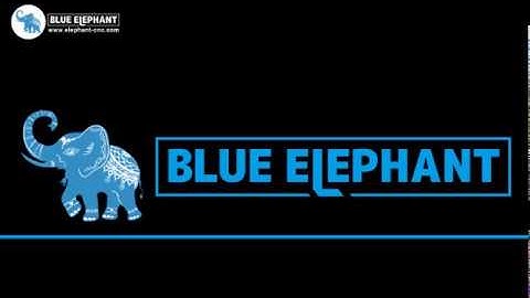 Blue Elephant Laser machine adjust light  and maintenance