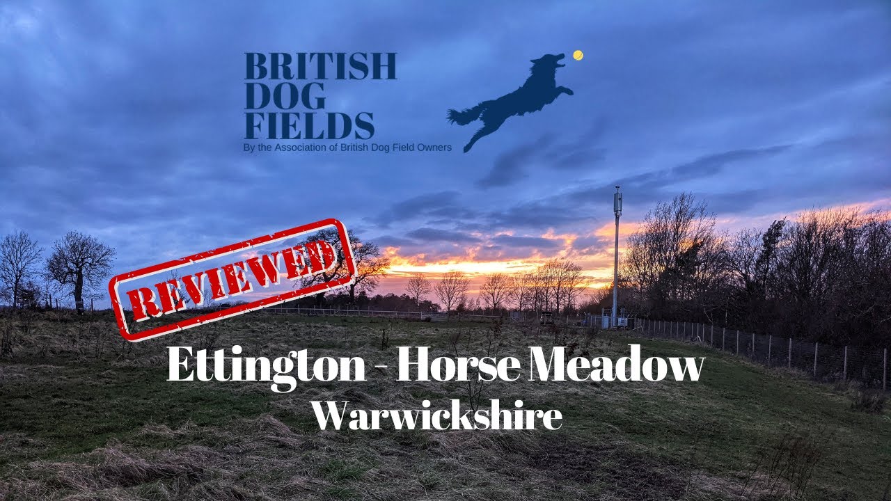 Ettington Secure Dog Walking Fields, Stratford upon Avon YouTube