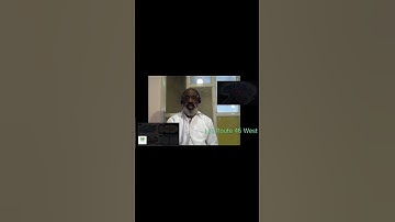 Mirror Neurons and Empathy: Exploring the Brain’s Social Connection System