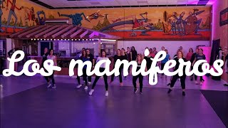 Los mamiferos - El Alfa El Jefe / Fit Dance Zumba