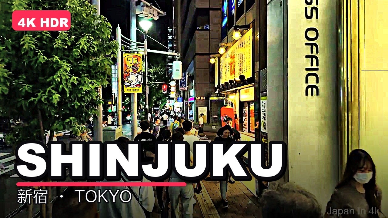Japan Shinjuku Walk, a frame from the walk