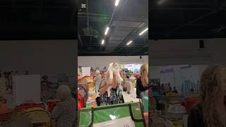 ВЫСТАВКА КОШЕК 25.10.25.Алматы.Казахстан.