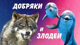 Животные добряки и злодеи. Правда и мифы