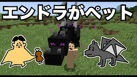 雷ドラゴン飼い方コマンド無し Mp3