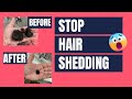 If your hair sheds TOO MUCH watch this (you’ll thank me later)