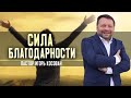 Сила благодарности -  Игорь Косован