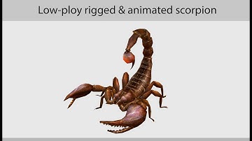 3D Animated Scorpion