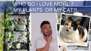 Hey plantaholics, a lot of you have asked for me to do video on nemo
and how she gets along with my houseplants. so here it is. i share bit
her story,...