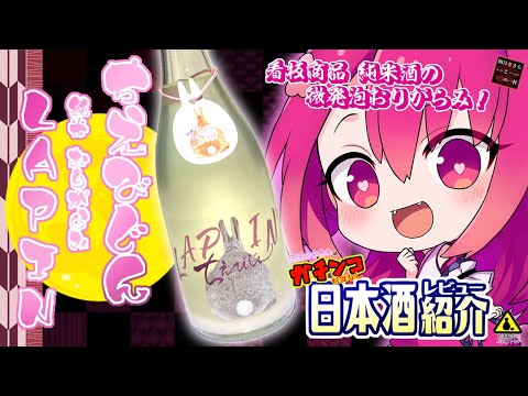 【ちえびじん】如月ささらのガチンコ日本酒レビュー！【LAPIN】