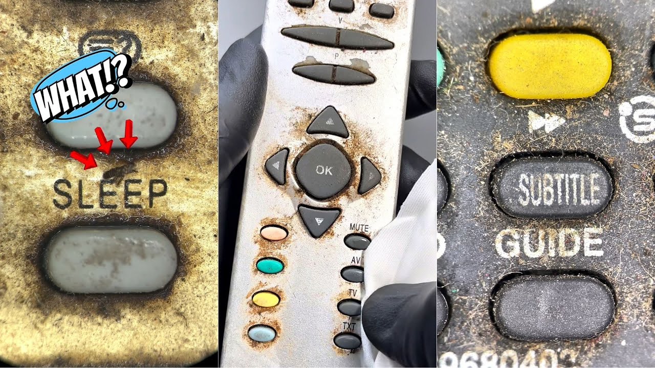 There Was Life Beneath the Buttons – May's Wildest Cleans [Part 1]