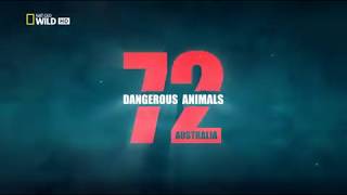 Aussie most dangerous animals - S01E01