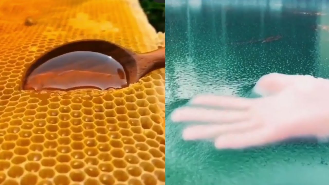 Oddly Satisfying Videos to Make you Calm - YouTube