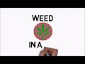 How to Harvest Cannabis