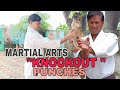 What is Tiger punch #karate #selfdefense #martilarts #winchun #combatsport #tiger #punch #palm