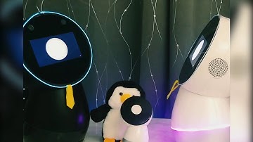 Jibo memory matching game by BJ1