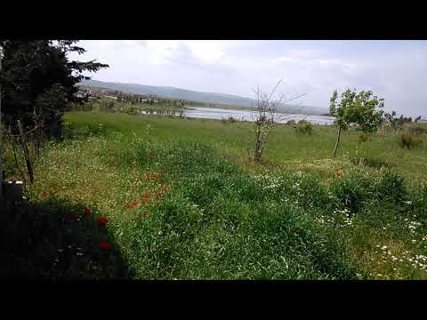 معزوفة الحبيب للفنان الياس رحباني على العود