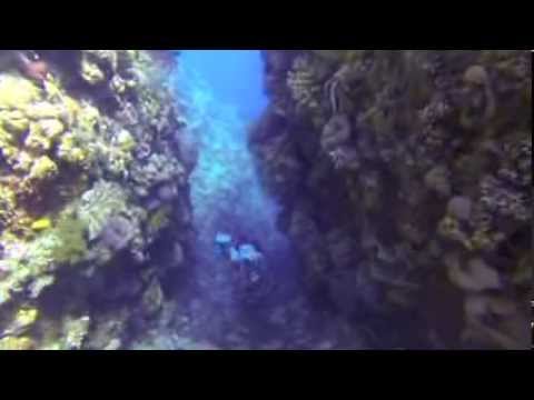 Apneista Freediving Komodo