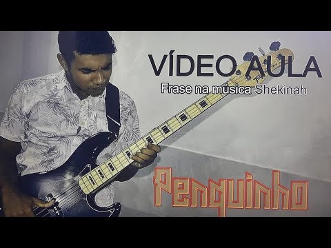 VÍDEO AULA -