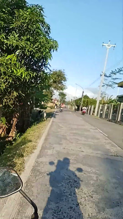 senggol dong boos