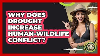 Why Does Drought Increase Human-wildlife Conflict? - The Wild Life Explorer