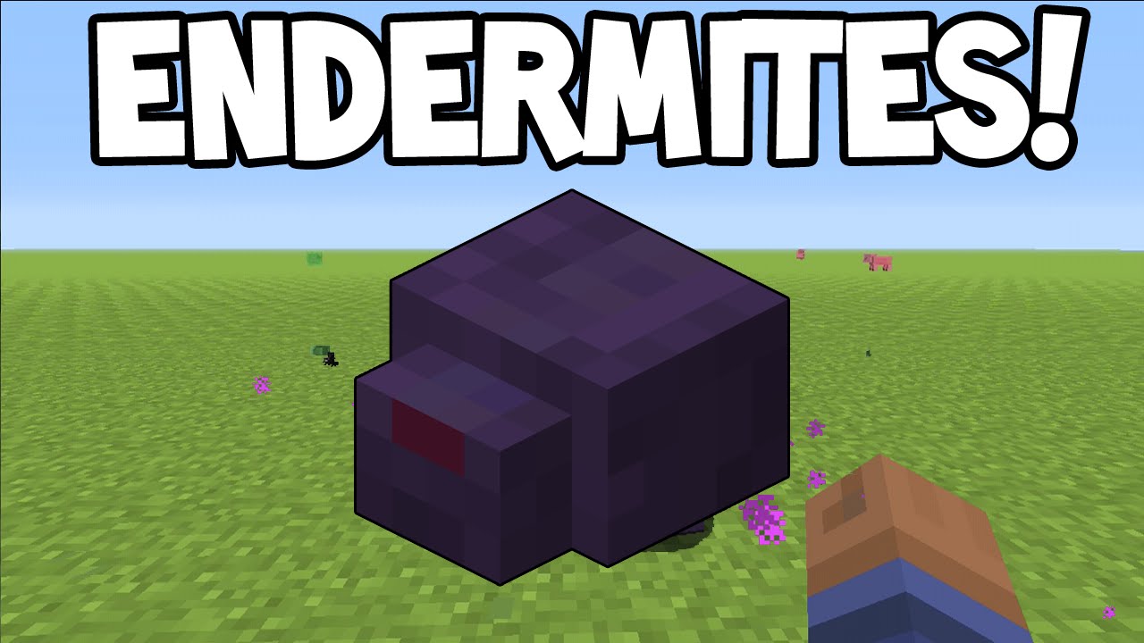 Name This Mob Endermite