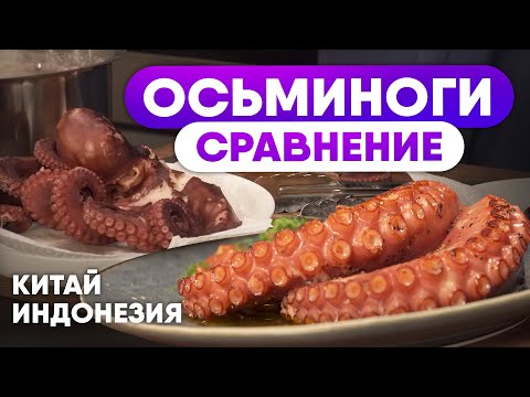 Как правильно выбрать осьминога? Рецепт блюда из Осьминога от шефа. Сравнение и приготовление.