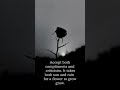 Sweet and Sour #motivational #quotes #flower #growth #sunandrain #lifelessons #inspiration #selflove