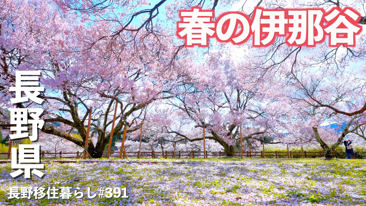 Moving to Nagano] Freshly filmed on April 2nd!! Exploring Takato