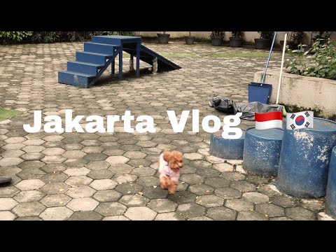 Video: Rumah Dengan 