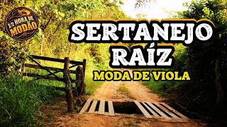 MODAS DE VIOLA PRA COMEÇAR O DIA 🎵 SERTANEJO RAIZ