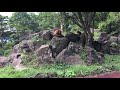 伊豆シャボテン動物公園 アニマルボートツアーズ３