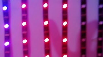 WS2812B LEDs problem