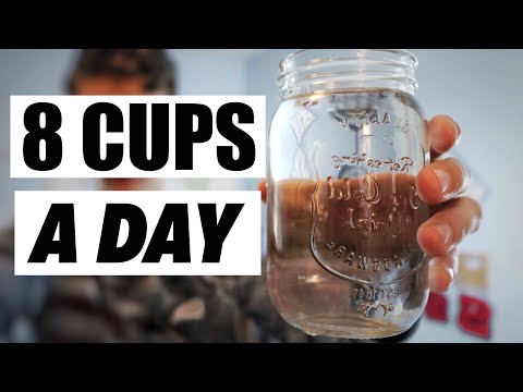 drinking-8-cups-a-day-|-habit-testing-#1