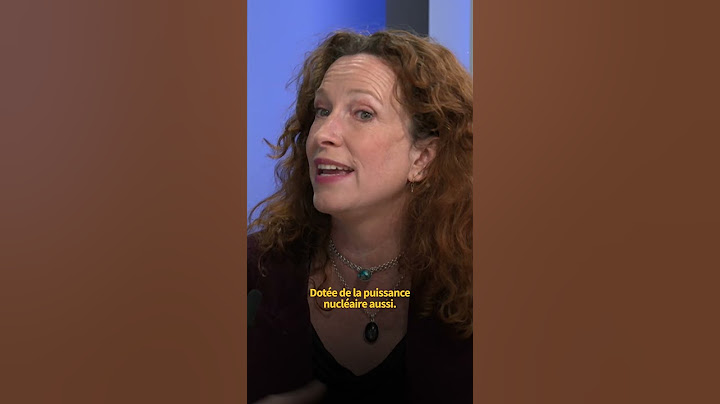 «La France a été une cible de choix pour les ingérences russes»