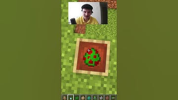 All mob weaknesses 😂 Minecraft #shorts