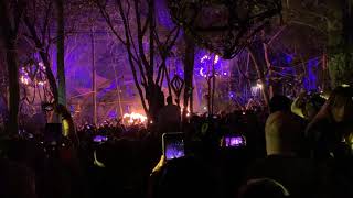 Bedouin @ Day Zero 011119 2