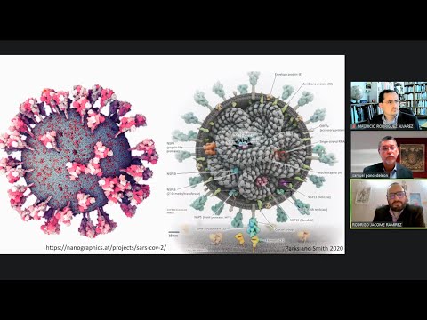 Prevención, clave para enfrentar variante Ómicron