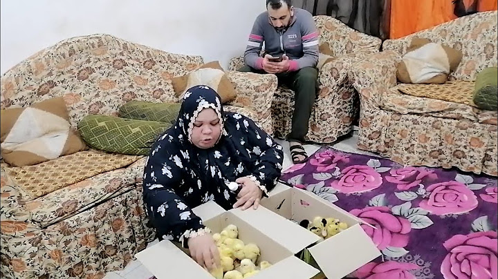 سمعت كلام امي ونيمت الكتاكيت والبط في الانتريه كان لزم الحق رمضان