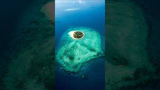 Is this tropical paradise? #travel #fiji #destinations #shorts #travelshorts #cruiselife