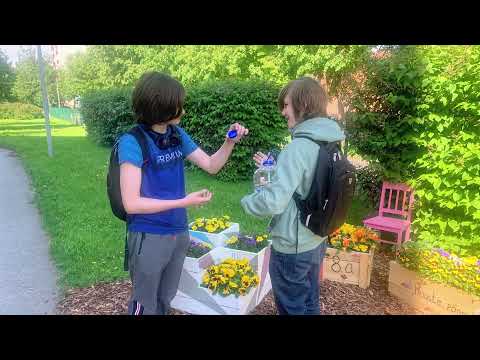 Video: Keskkonnasõbraliku putukapihusti retsept – tutvuge keskkonnasõbralike putukapihustitega