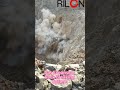 Powerful Rock Breaking Technology#automobile #gaming