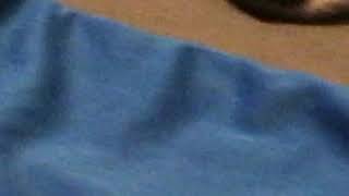 Famous 30 seconds of BLUE screen Wealth