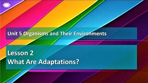 Unit 5 Lesson 2 Exploration 1