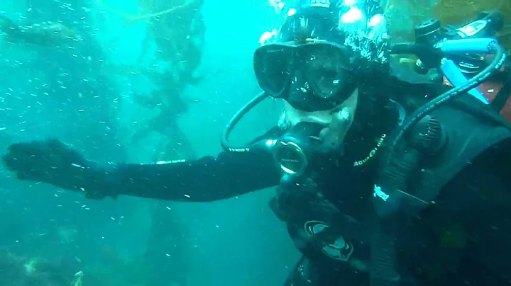 Colleen Daugherty Diving in Catalina Island